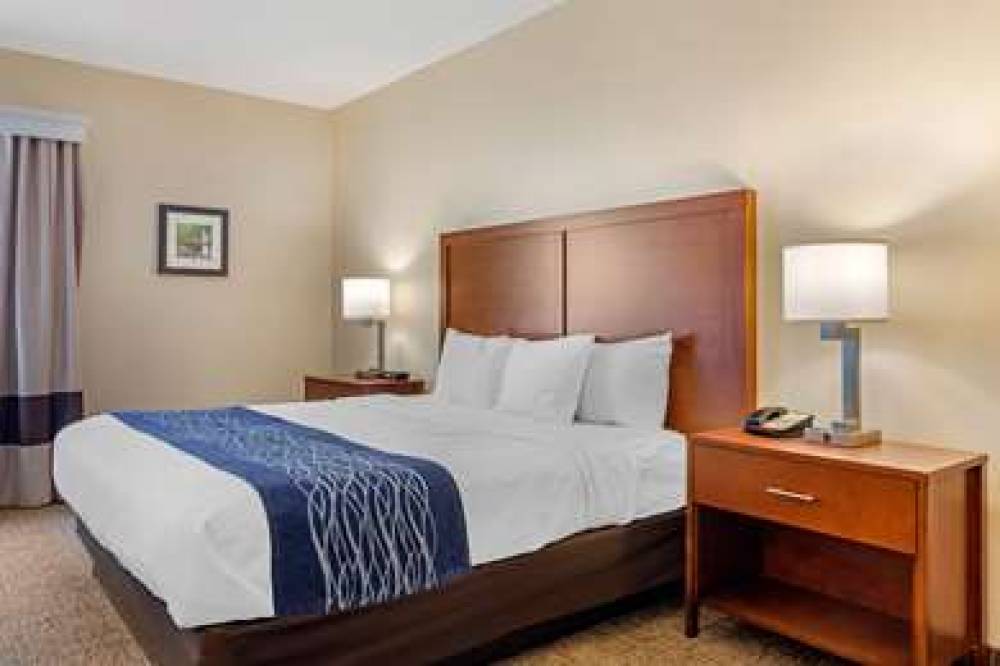 Comfort Inn Douglasville 3