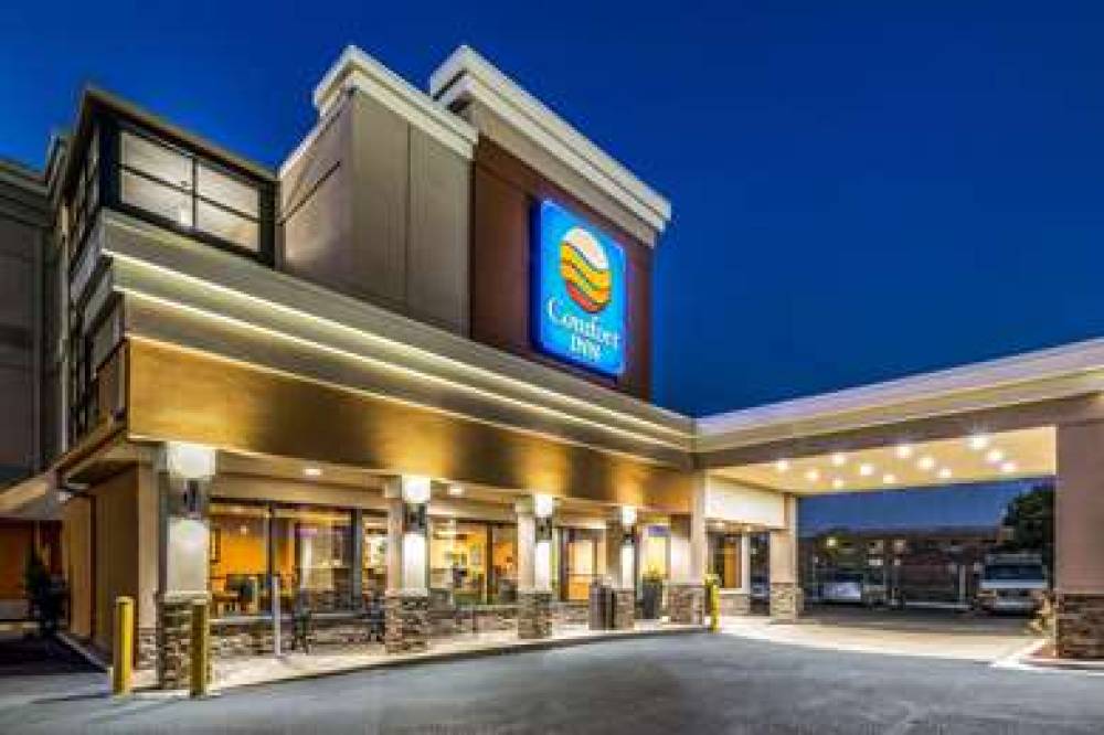 Comfort Inn Downtown 3