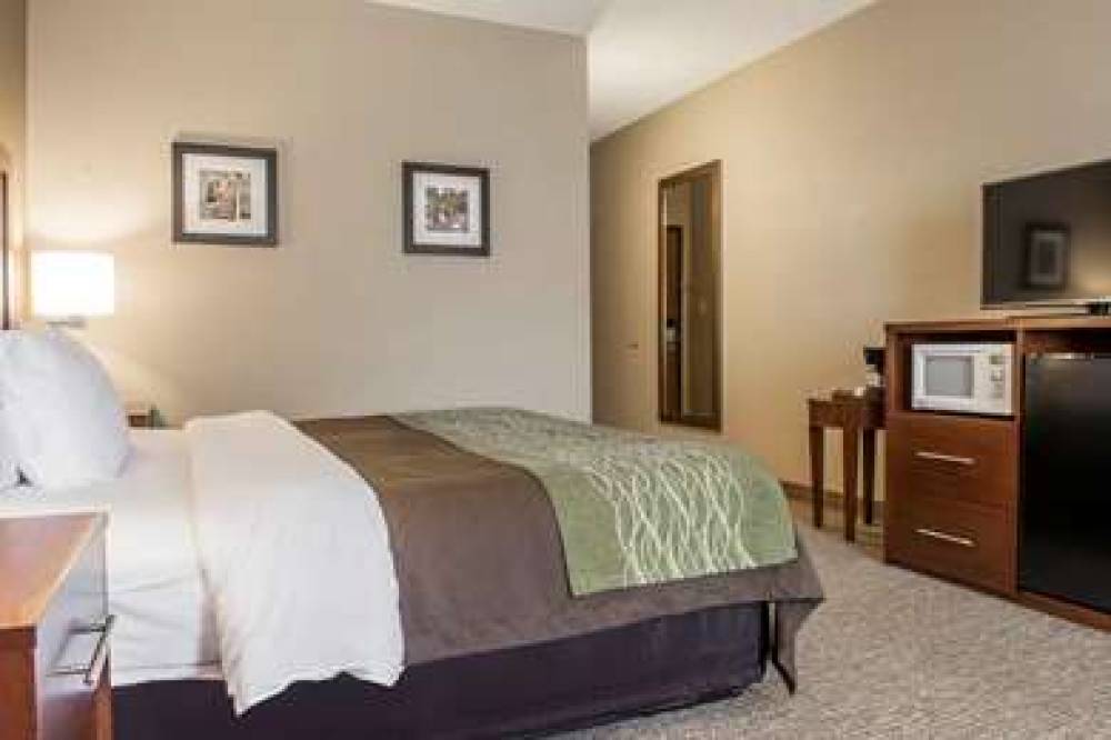 Comfort Inn Edinburg