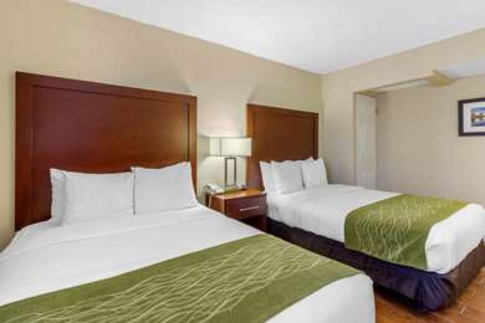 Comfort Inn North 10