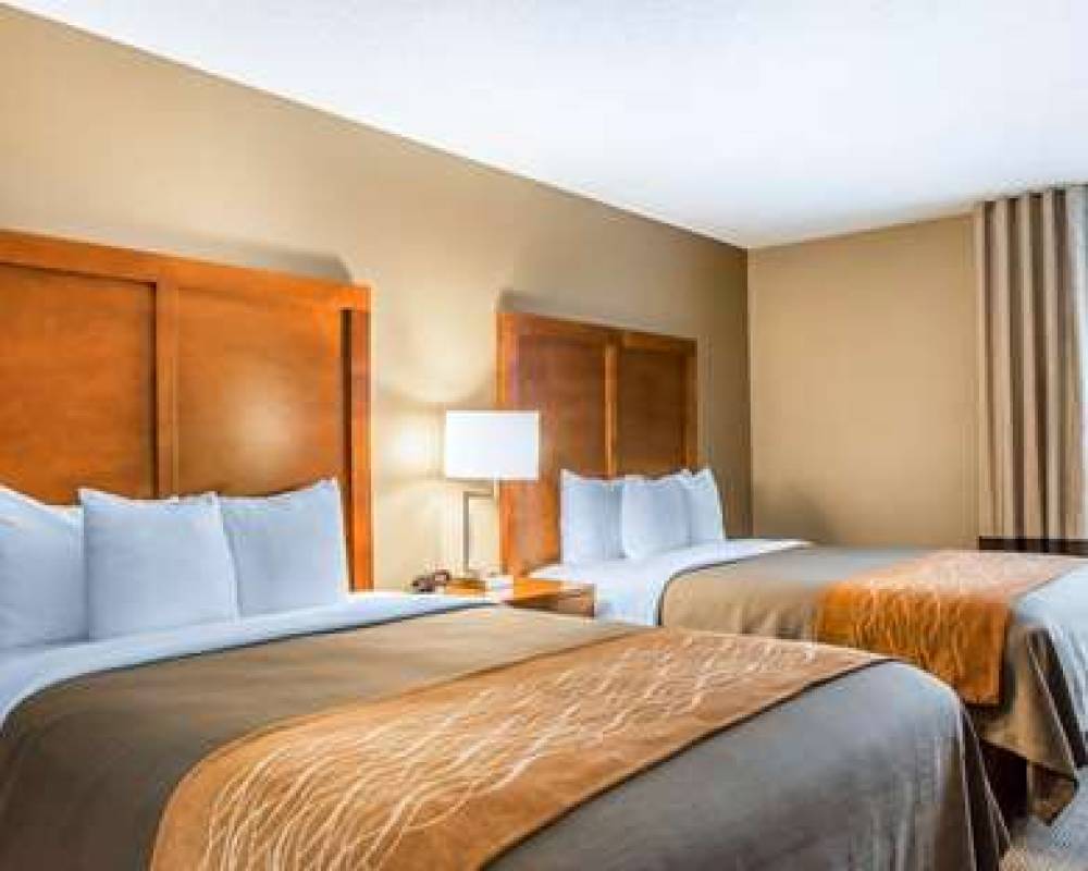 Comfort Inn North/Polaris 10
