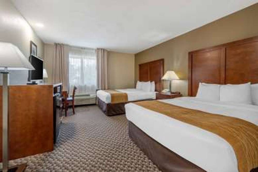 Comfort Inn South 10