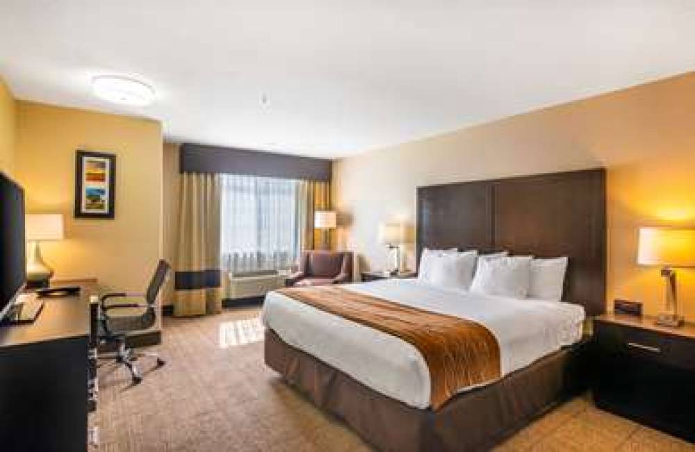 Comfort Inn & Suites 3