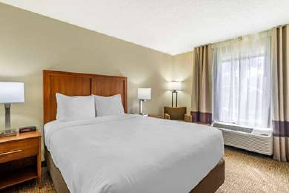 Comfort Inn & Suites Clearwater - St. Petersburg Carillon Park 10