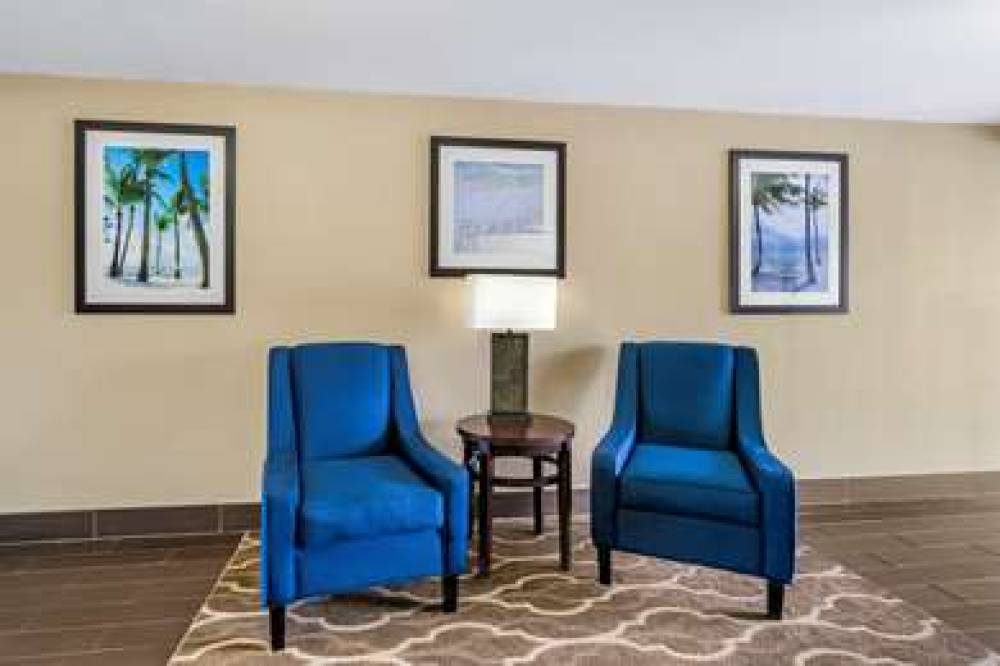 Comfort Inn & Suites Clearwater - St. Petersburg Carillon Park 8