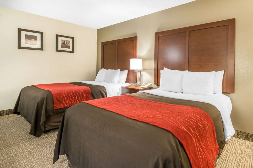 Comfort Inn & Suites Denver Northfield 4