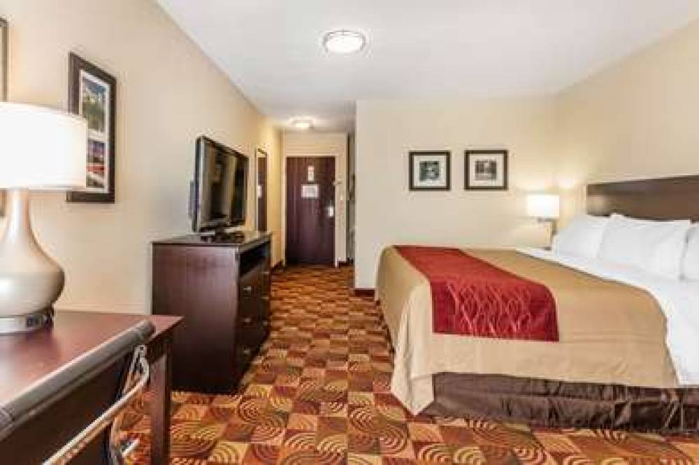 COMFORT INN & SUITES JASPER HWY 78 8