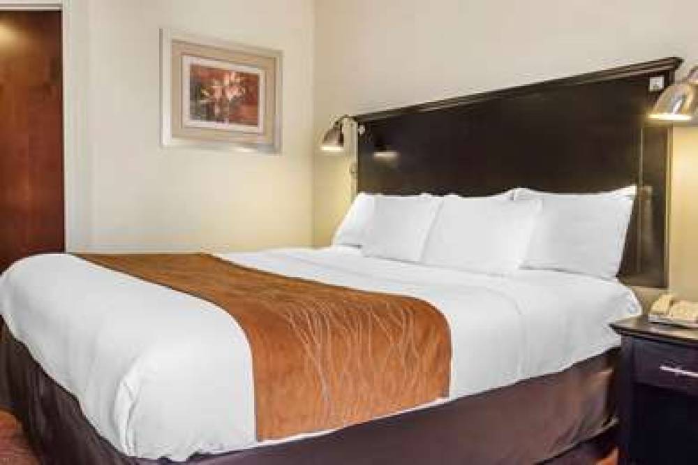 Comfort Inn & Suites LaGuardia Airport 1