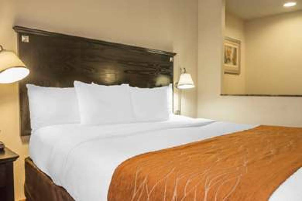 Comfort Inn & Suites LaGuardia Airport 6