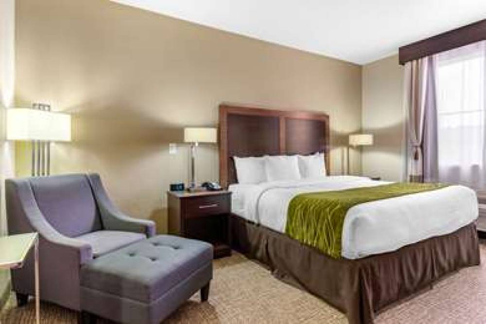 Comfort Inn & Suites Lakeside 3