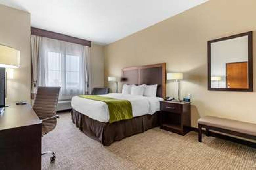 Comfort Inn & Suites Lakeside 7