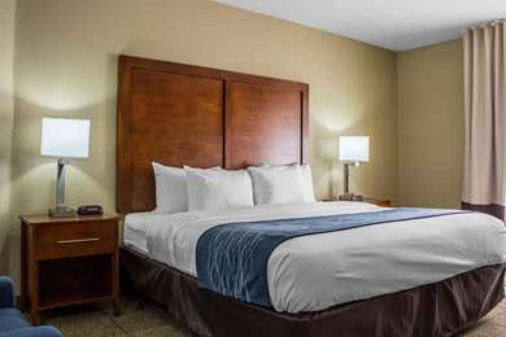 Comfort Inn & Suites North Glendale - Bell Road 8