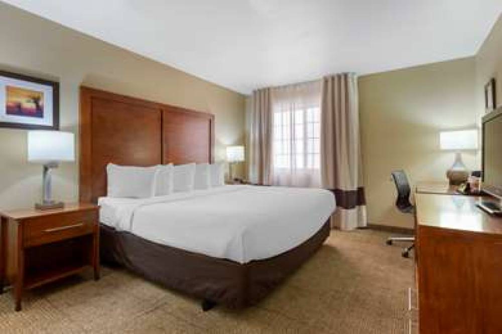 Comfort Inn & Suites North Glendale - Bell Road 9