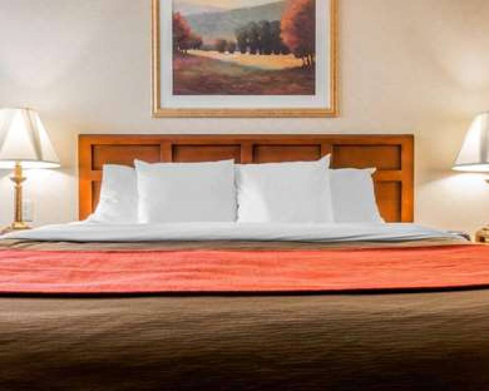 Comfort Inn Utica 8