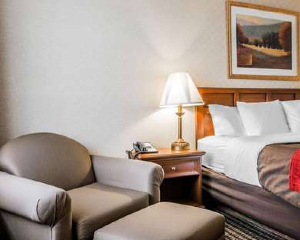 Comfort Inn Utica 10
