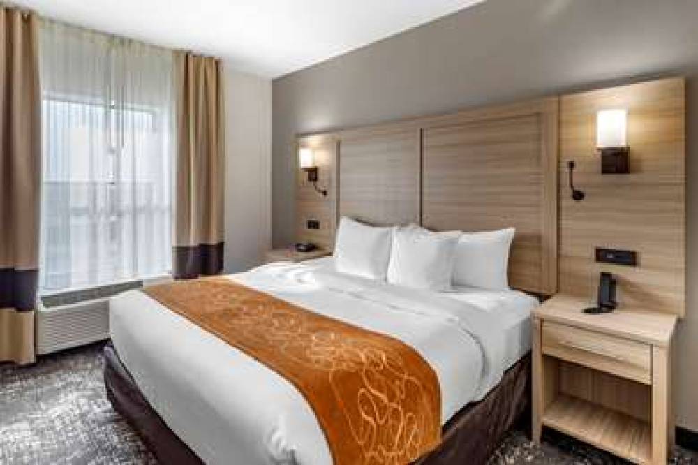 Comfort Suites Anderson Near University 6