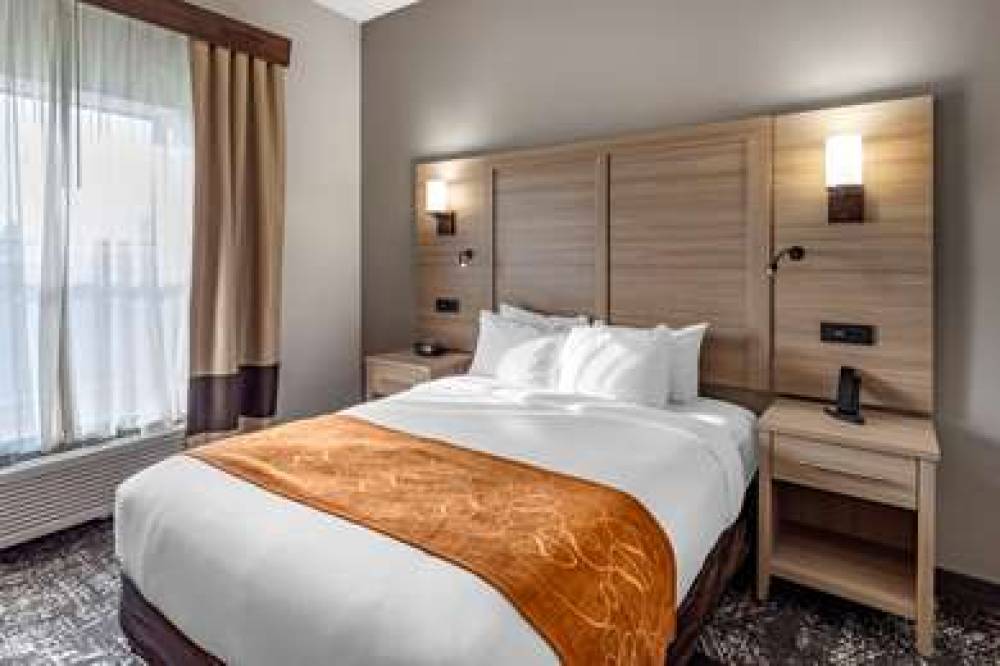 Comfort Suites Anderson Near University 10