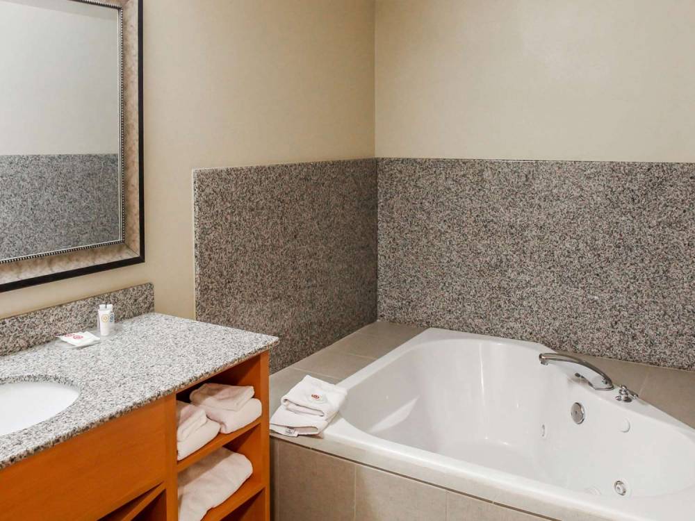 Comfort Suites At Virginia Center Commons 4