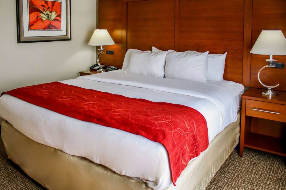 Comfort Suites At Virginia Center Commons 9