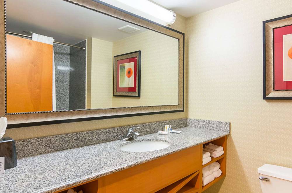 Comfort Suites At Virginia Center Commons 6