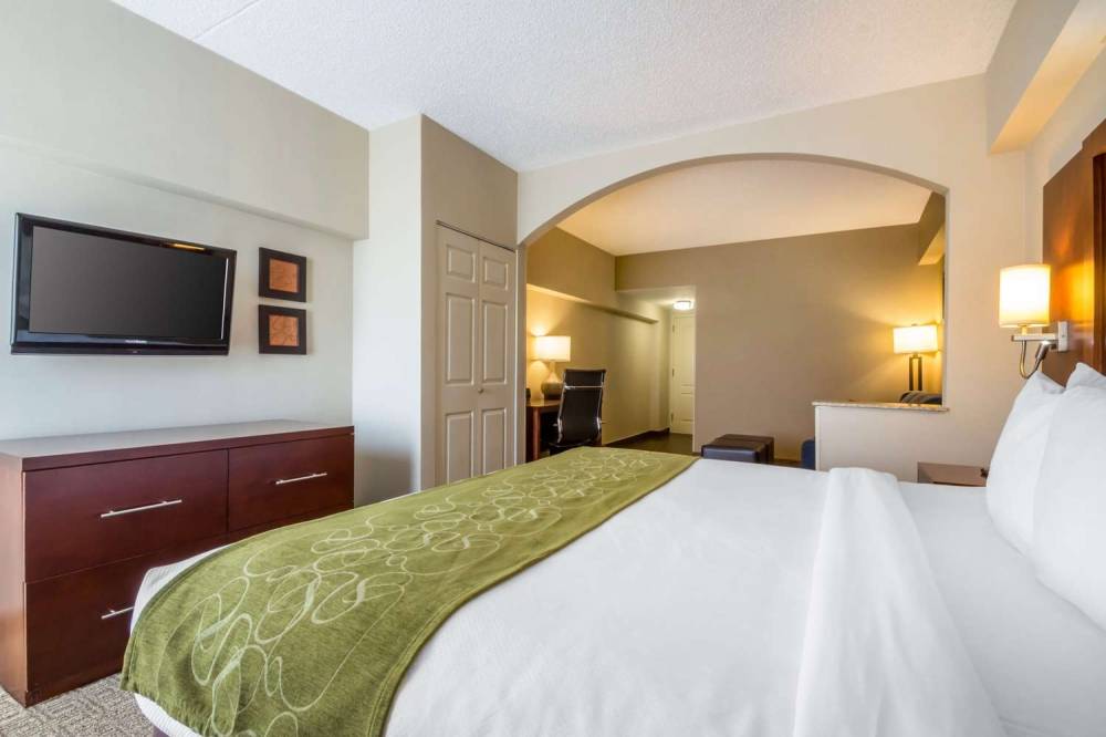 Comfort Suites At Woodbridge 6