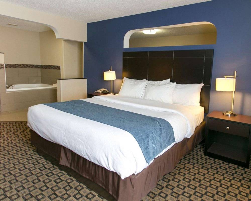 Comfort Suites Benton Harbor - St. Joseph 6