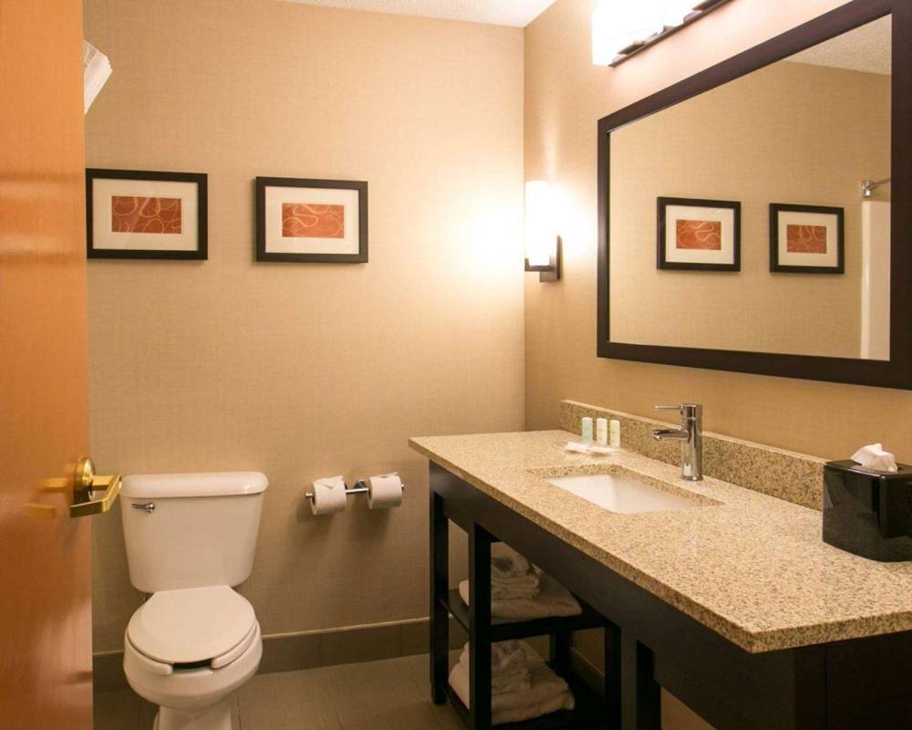 Comfort Suites Benton Harbor - St. Joseph 8