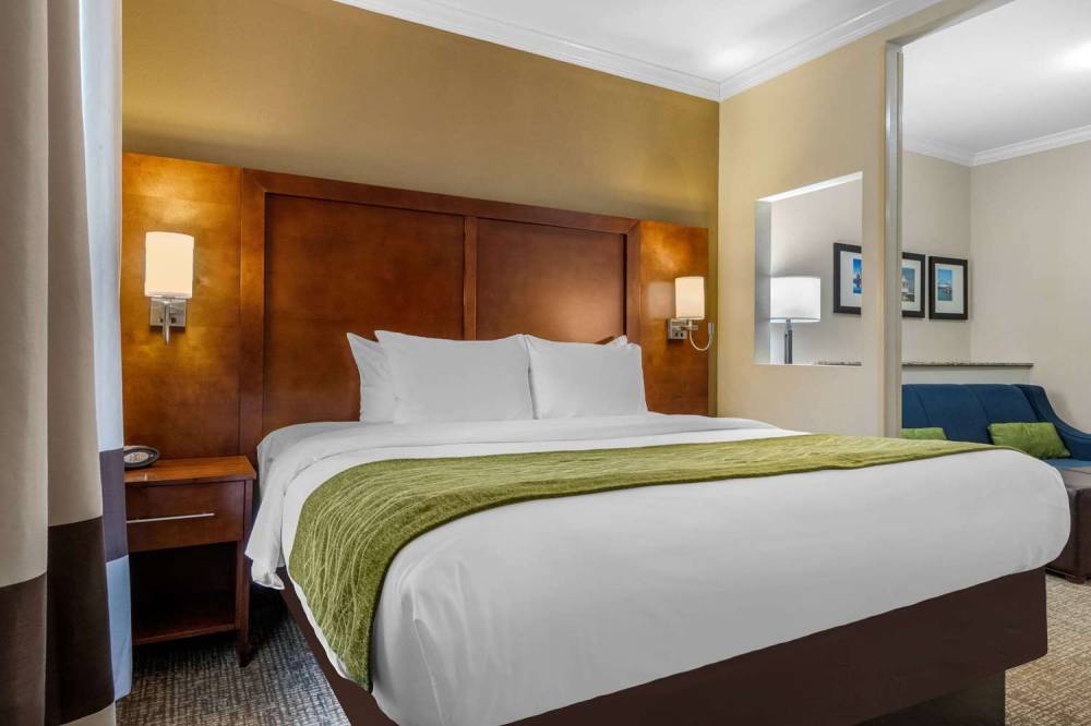 Comfort Suites Central 10