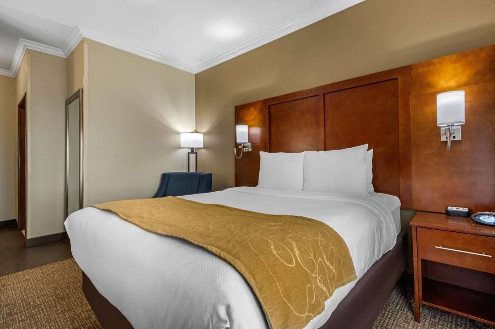 Comfort Suites Central 8