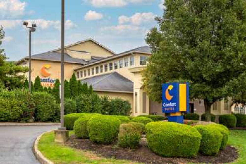 Comfort Suites Columbus 1