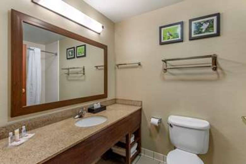 Comfort Suites 7
