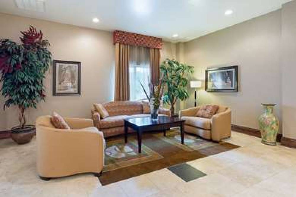 Comfort Suites 8