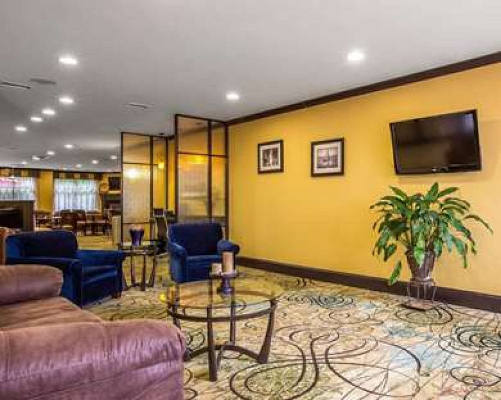 Comfort Suites 6