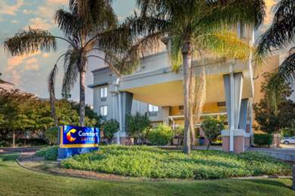 Comfort Suites 5