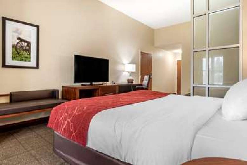 Comfort Suites 7
