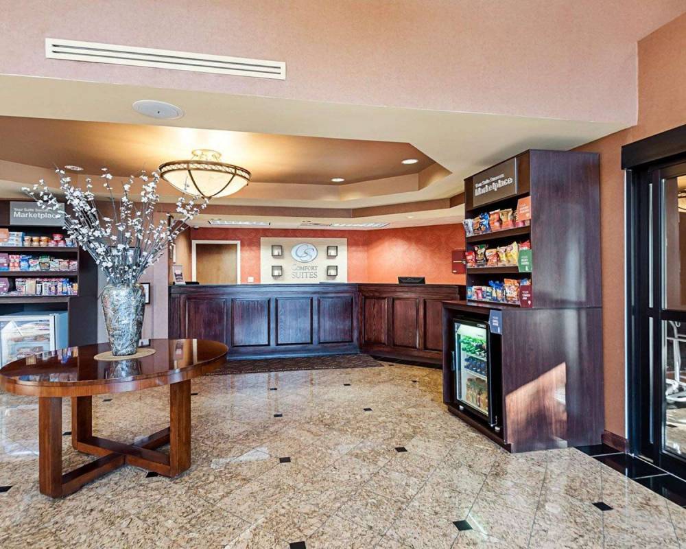 Comfort Suites Dulles Airport 5