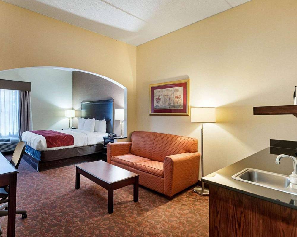 Comfort Suites Dulles Airport 6