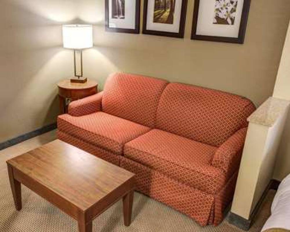 Comfort Suites Gadsden Attalla 9