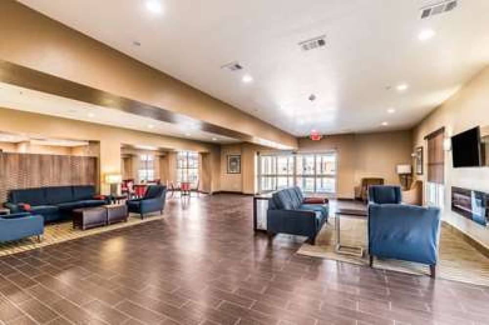 Comfort Suites Grand Prairie - Arlington North 8