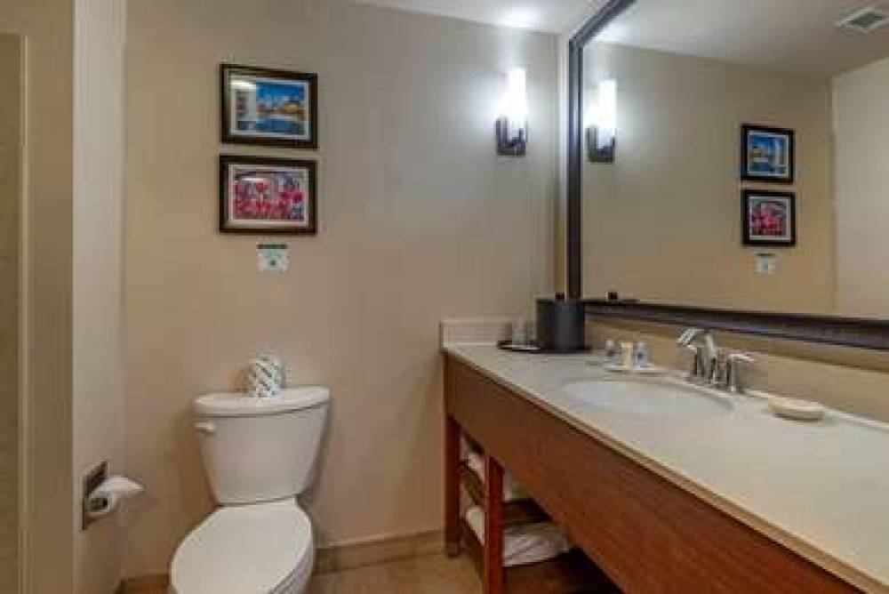 Comfort Suites Lake Norman - Huntersville 6