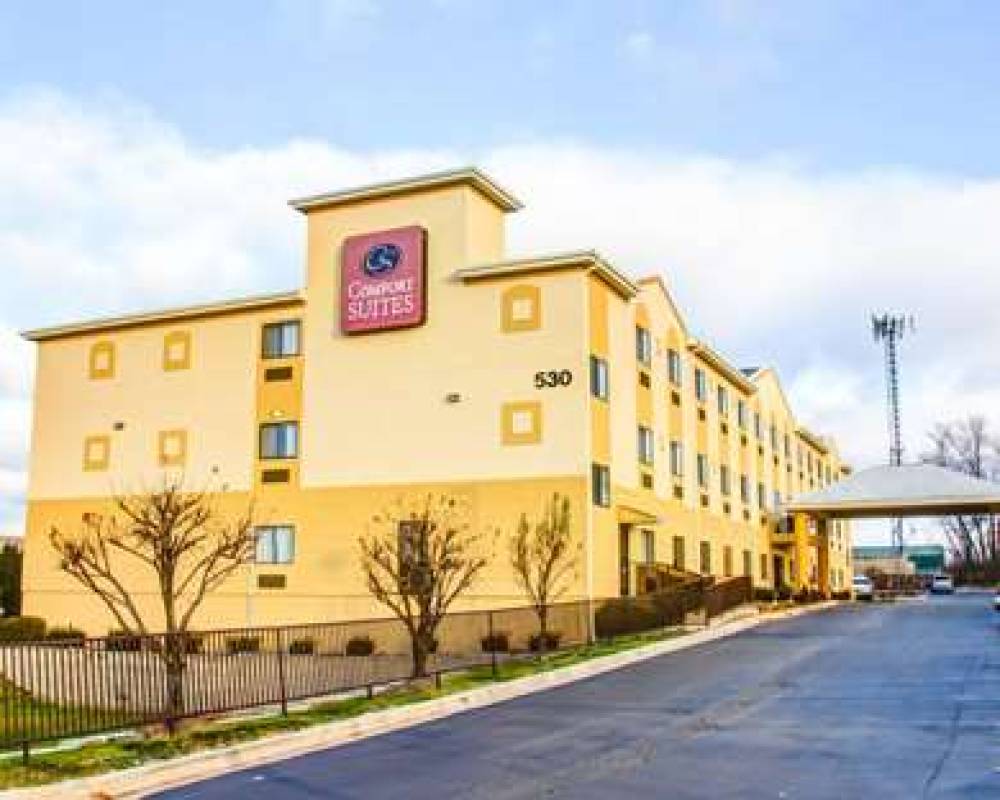 Comfort Suites Lombard - Addison 1