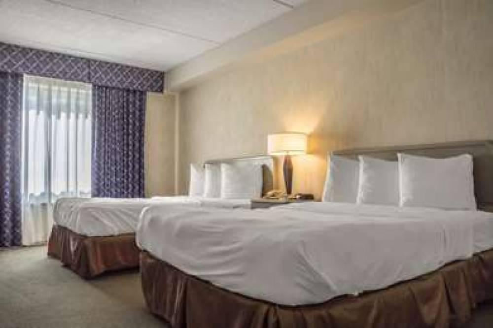 COMFORT SUITES LONDON 5