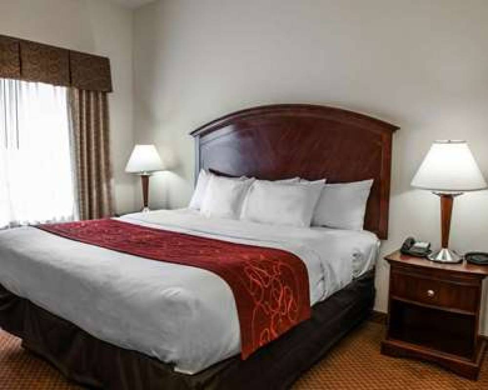 Comfort Suites Near Indianapolis Airport 9