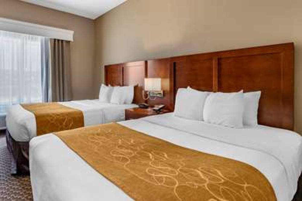 Comfort Suites Near Texas A&M - Corpus Christi 7