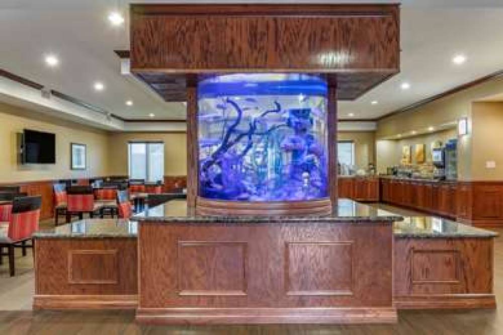 Comfort Suites Near Texas A&M - Corpus Christi 3