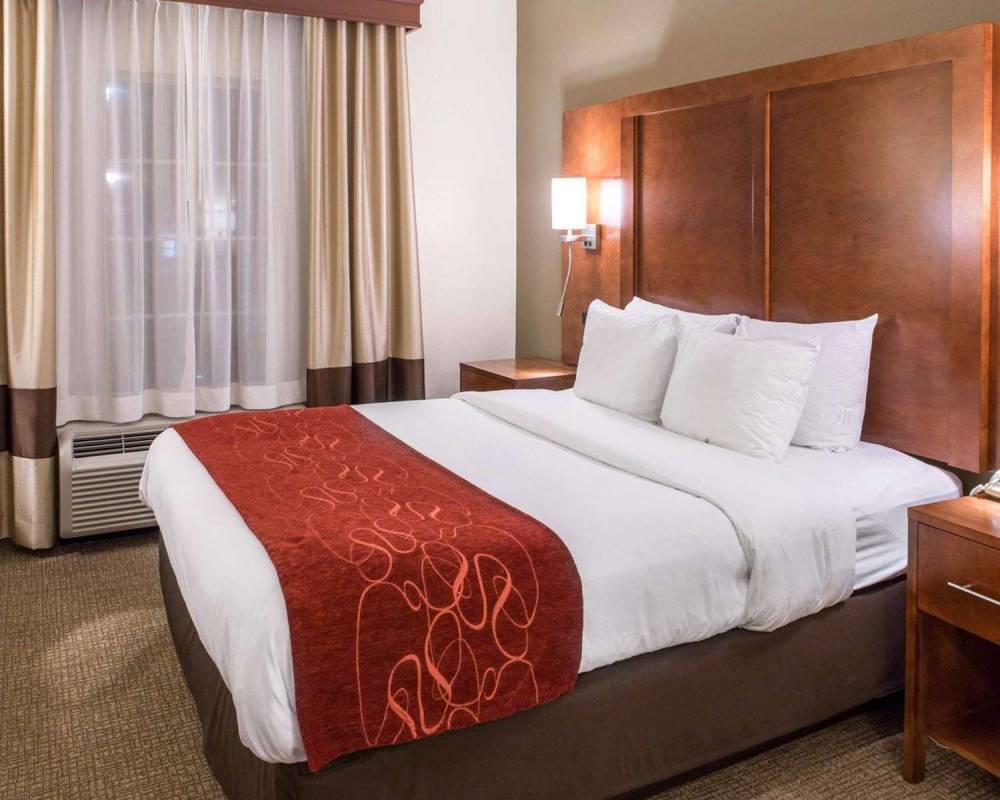 Comfort Suites Newark - Harrison 5