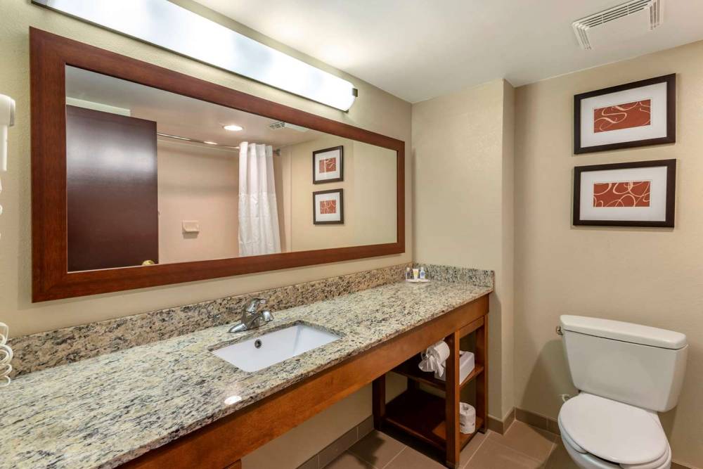 Comfort Suites Newark - Harrison 9