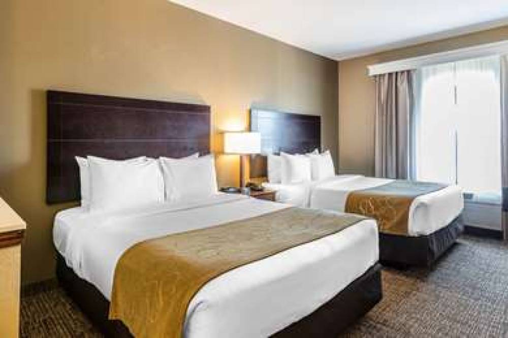 Comfort Suites North 8