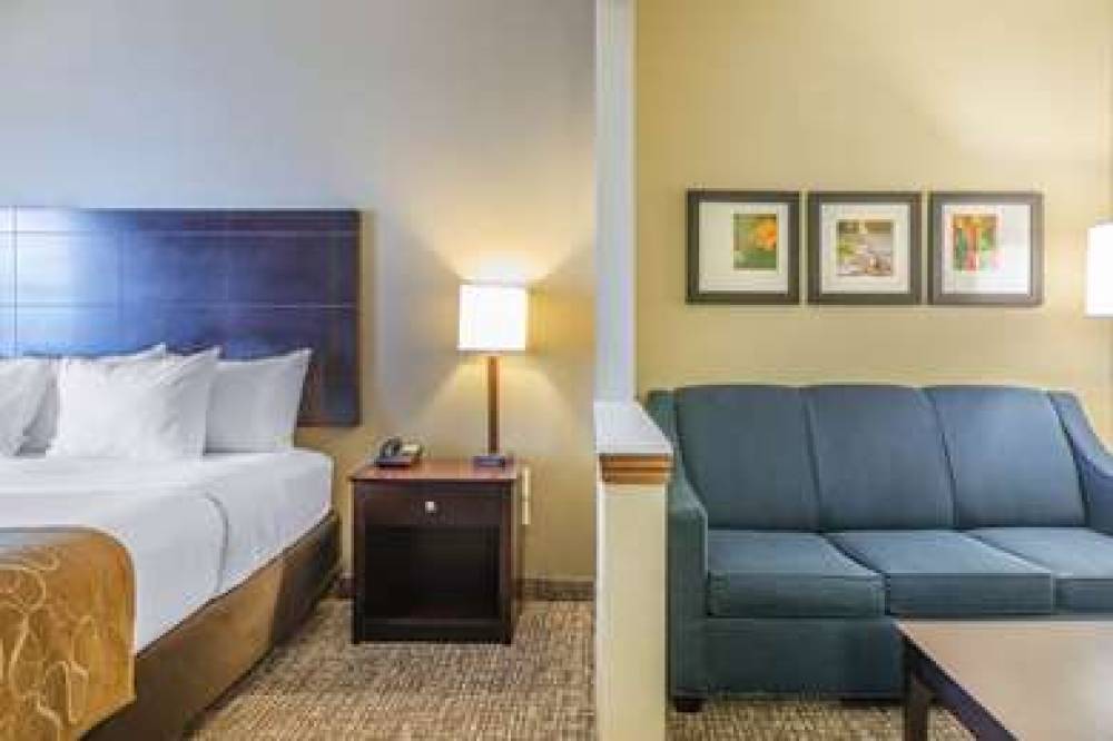 Comfort Suites North 5