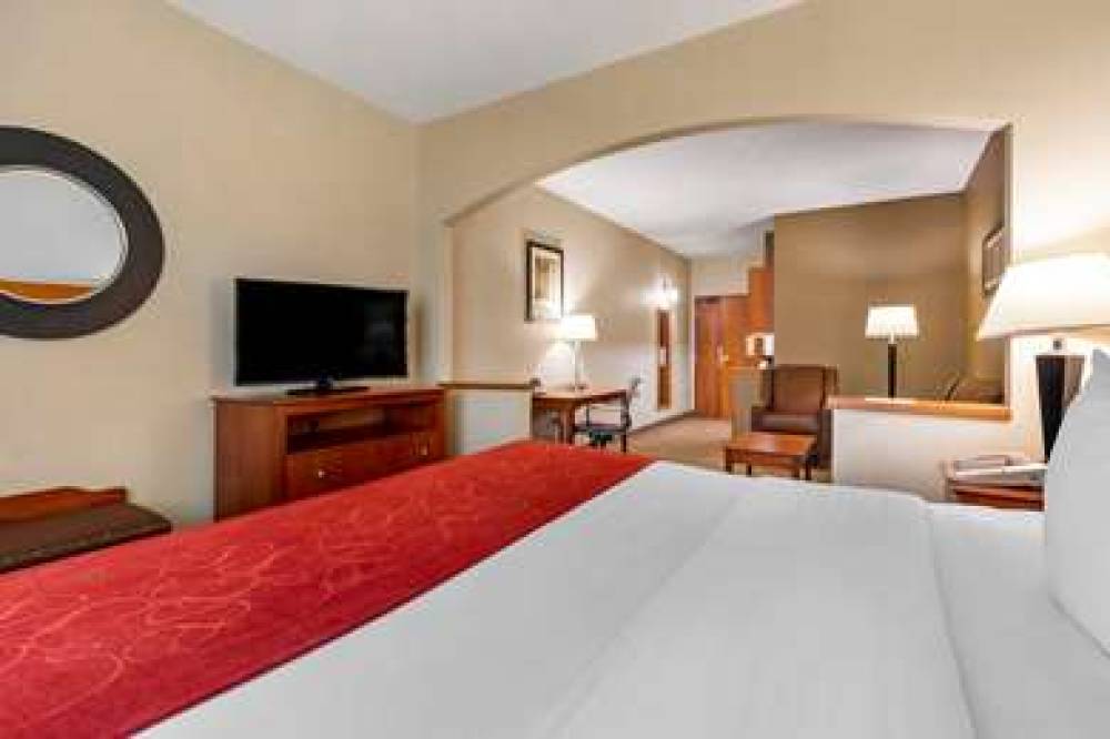 Comfort Suites North Dallas 9